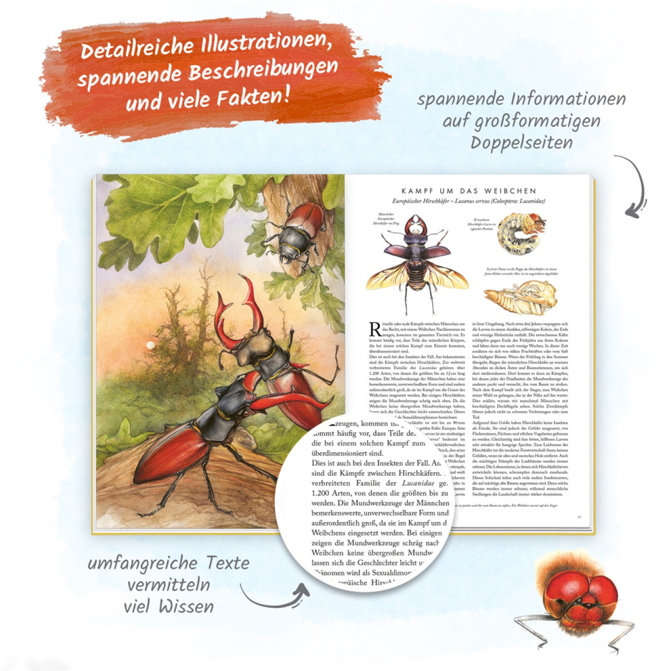 Die großartige Welt der Insekten