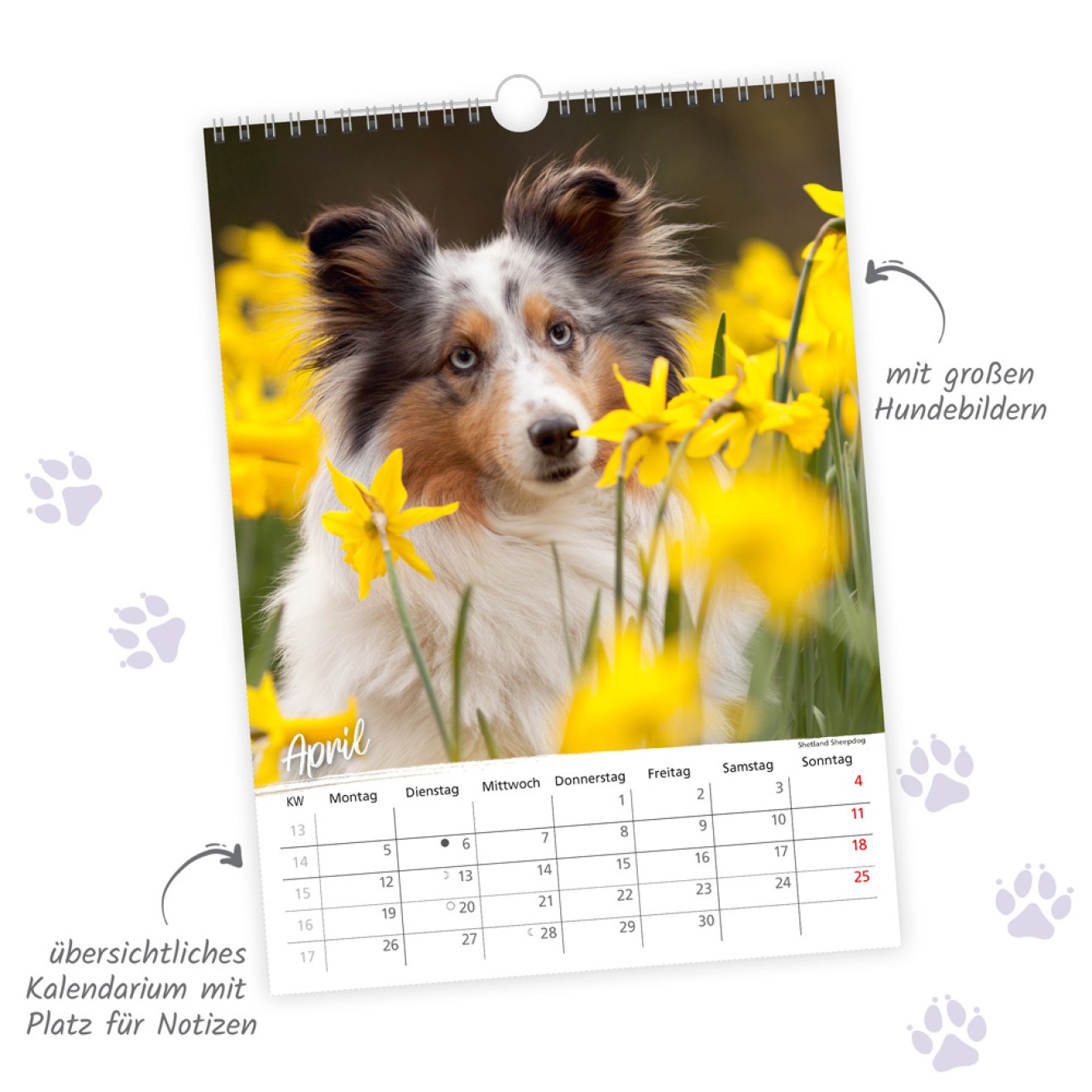 Classickalender Hunde 2027