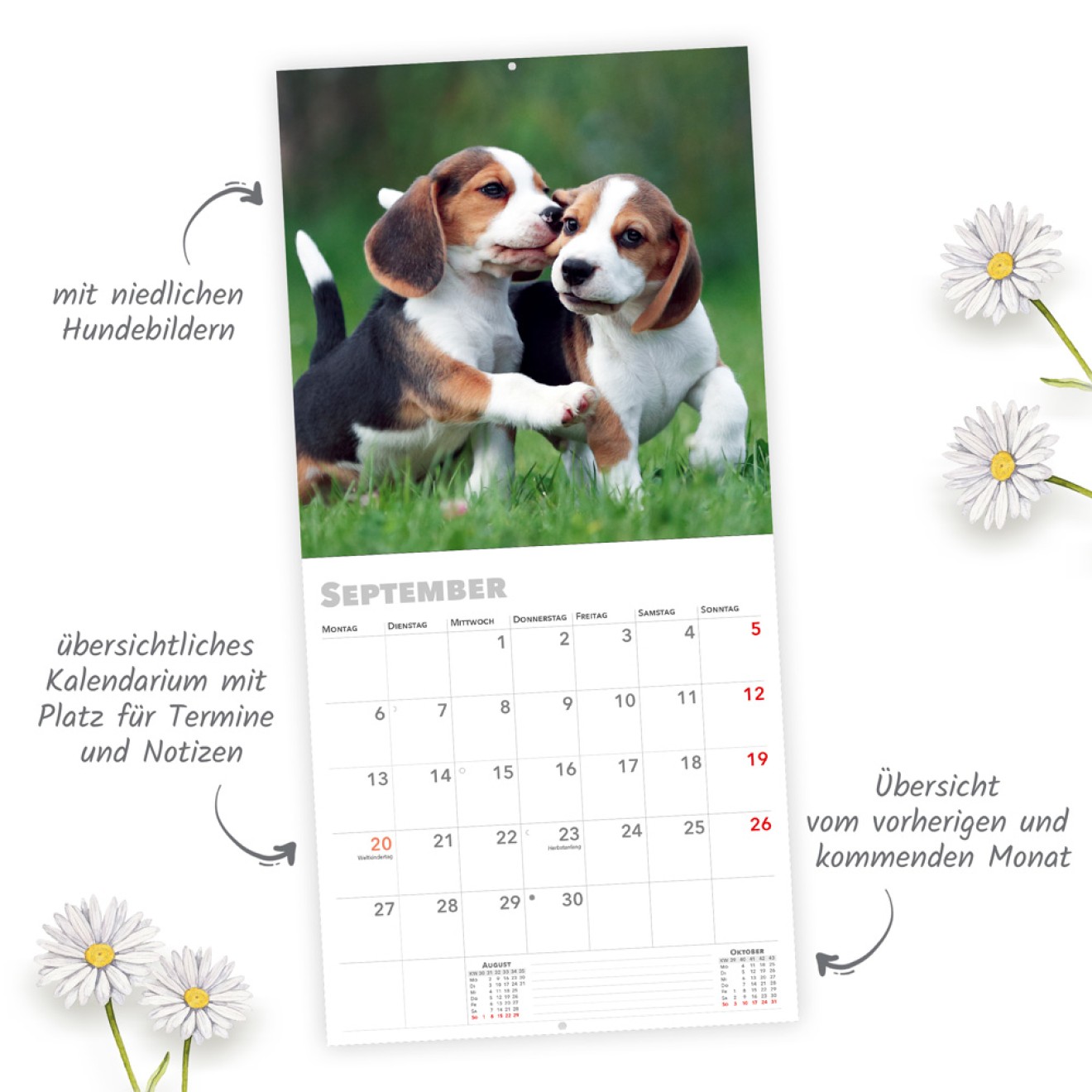 Broschürenkalender Hunde 2027
