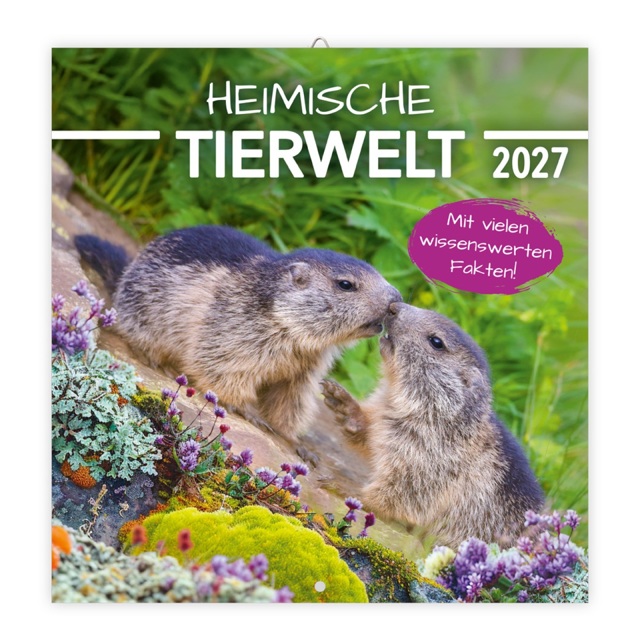 Broschürenkalender Heimische Tierwelt 2027
