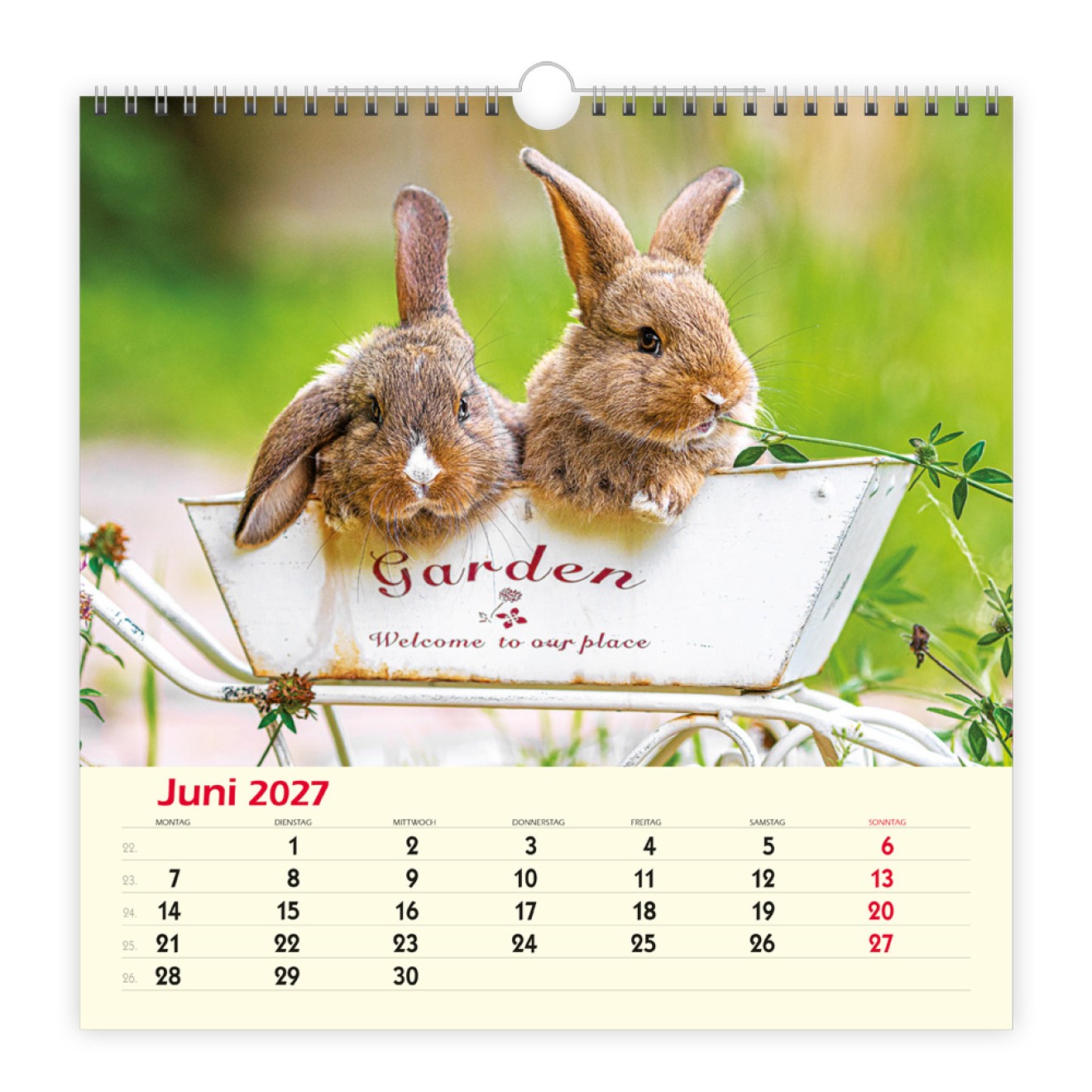 Wandkalender Freunde 2027
