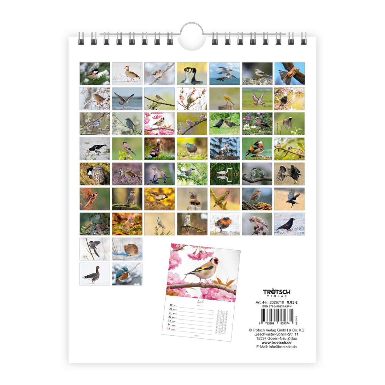 Wochenkalender zum Hängen Heimische Vögel 2027