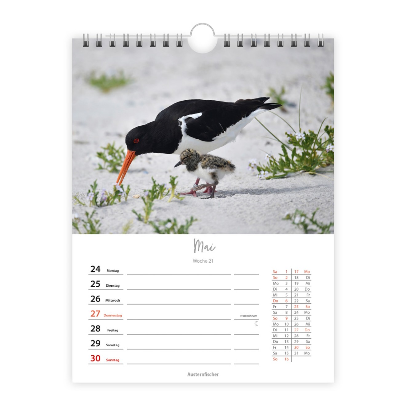Wochenkalender zum Hängen Heimische Vögel 2027
