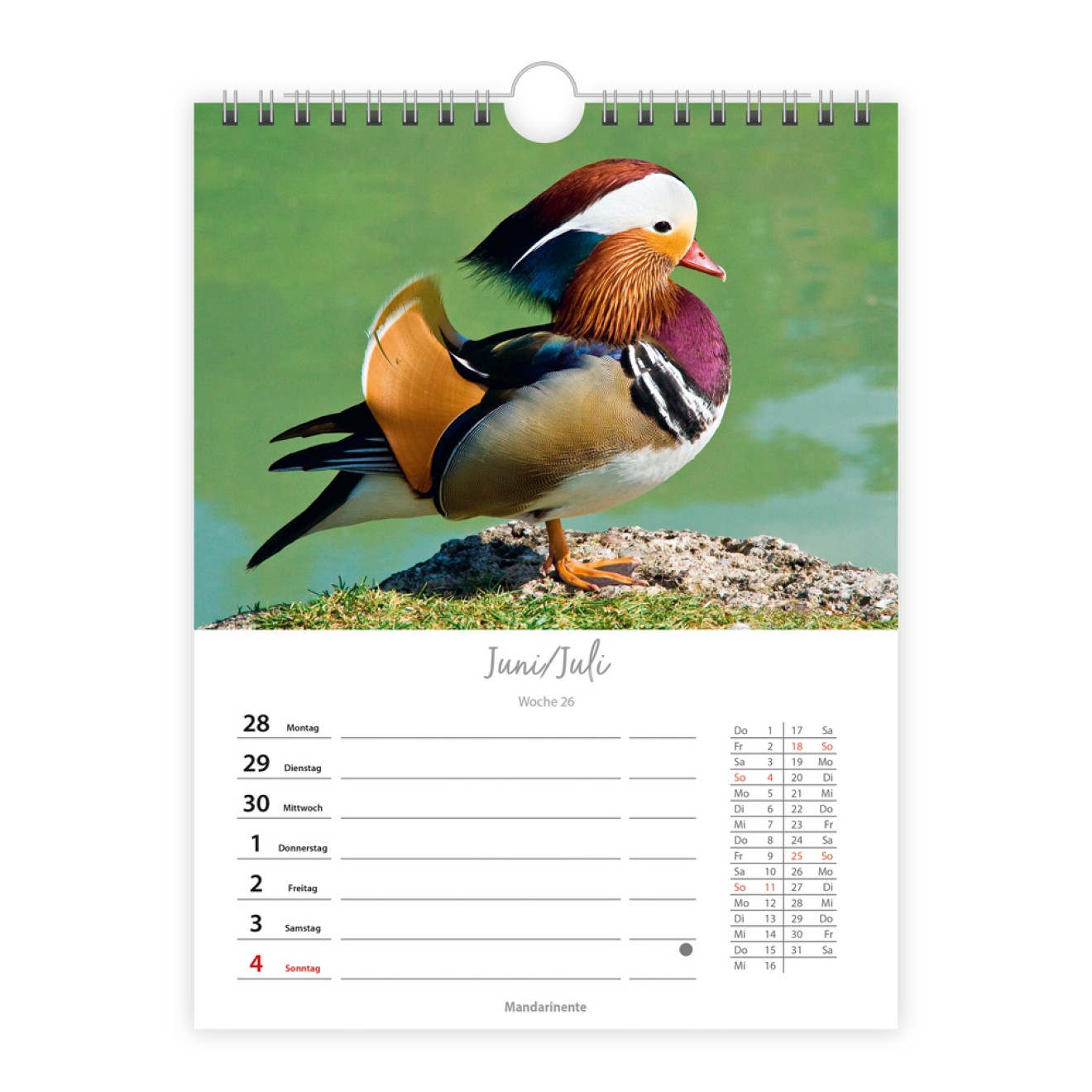 Wochenkalender zum Hängen Heimische Vögel 2027