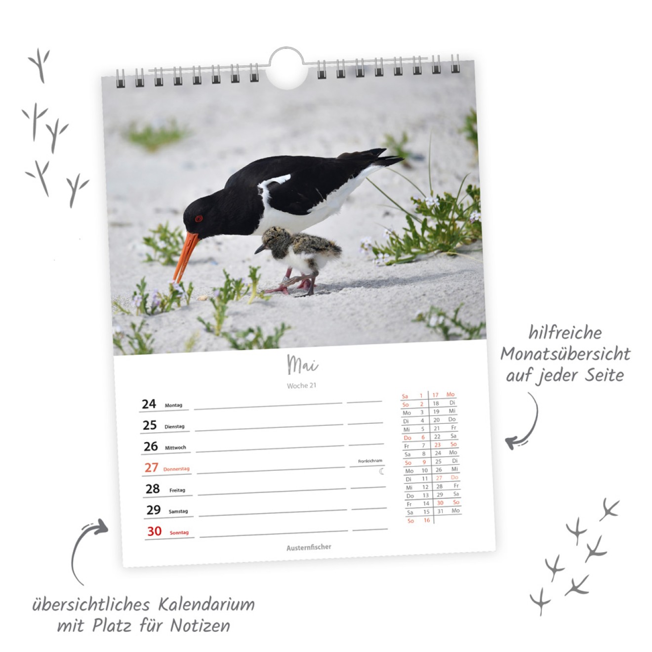 Wochenkalender zum Hängen Heimische Vögel 2027