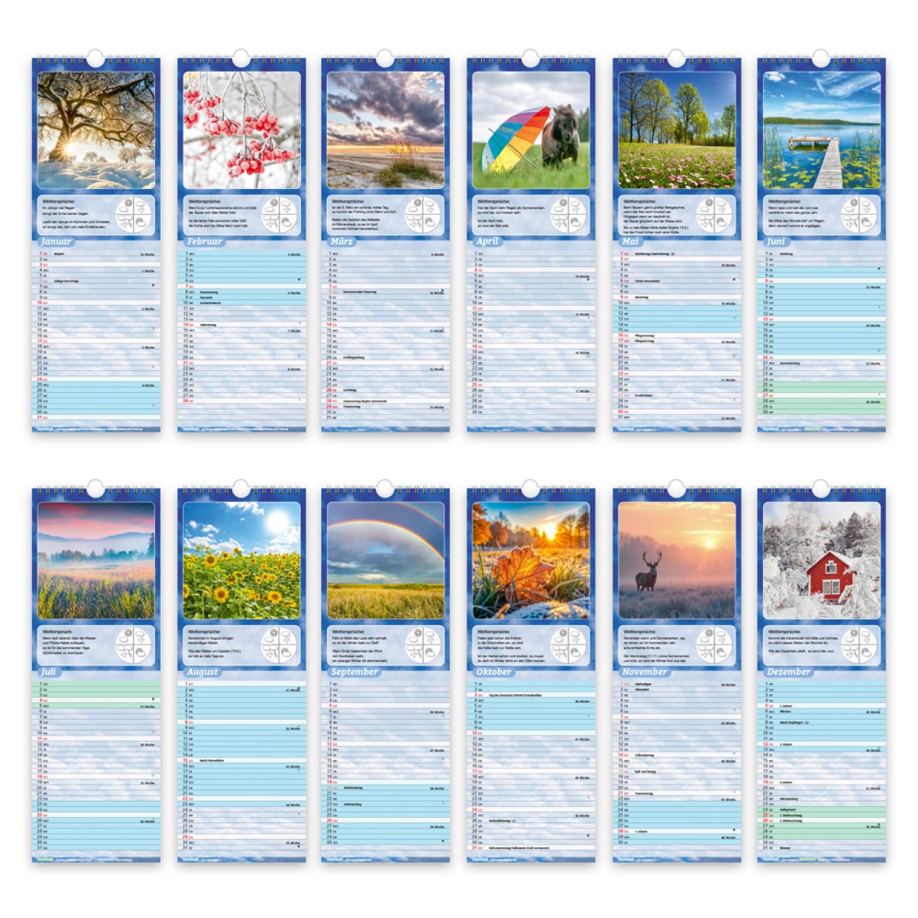Streifenkalender Wetterkalender 2027 Notizkalender