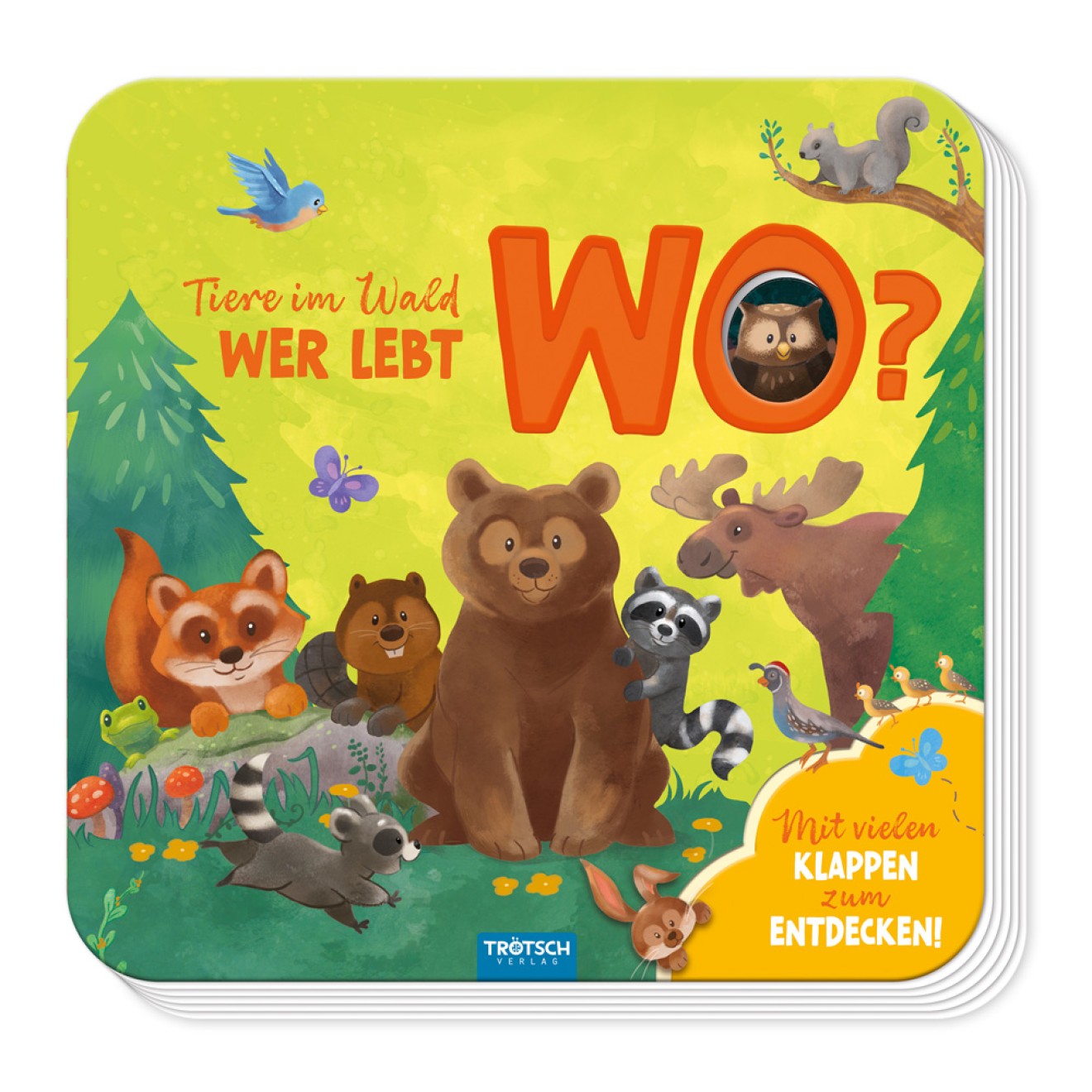 Mein erstes Klappenbuch "Tiere im Wald Wer lebt wo?"