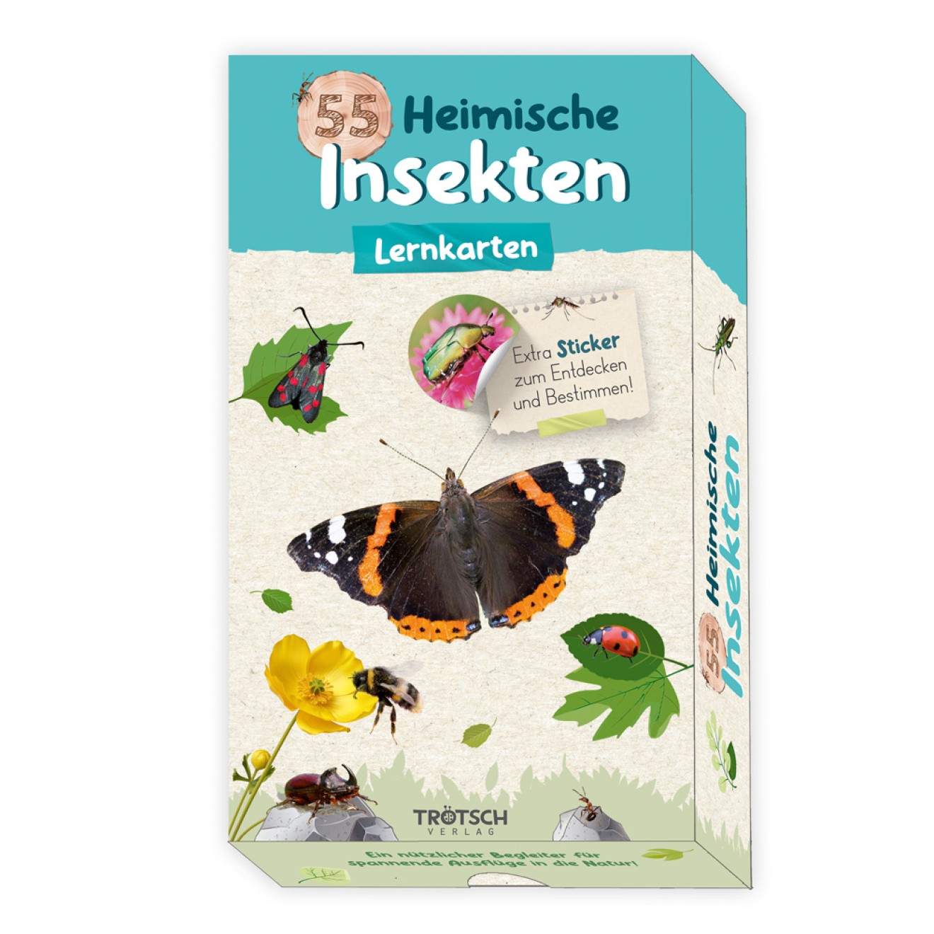 55 Lernkarten "Heimische Insekten"