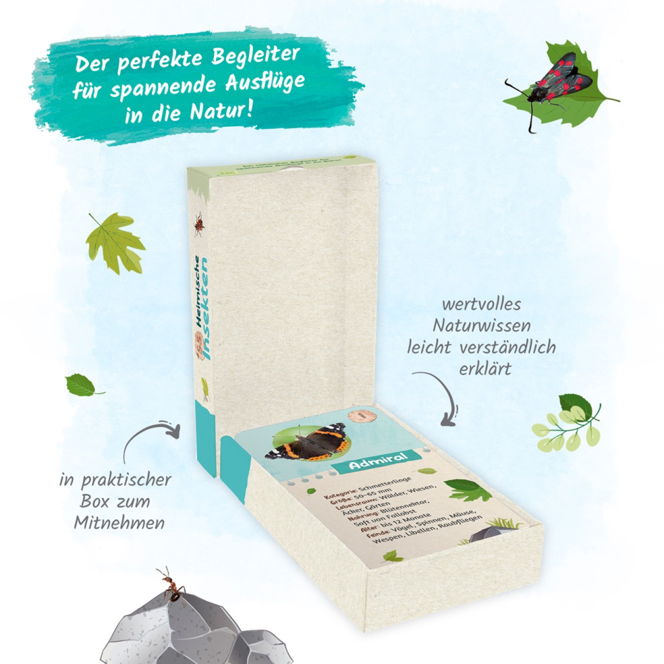 55 Lernkarten "Heimische Insekten"
