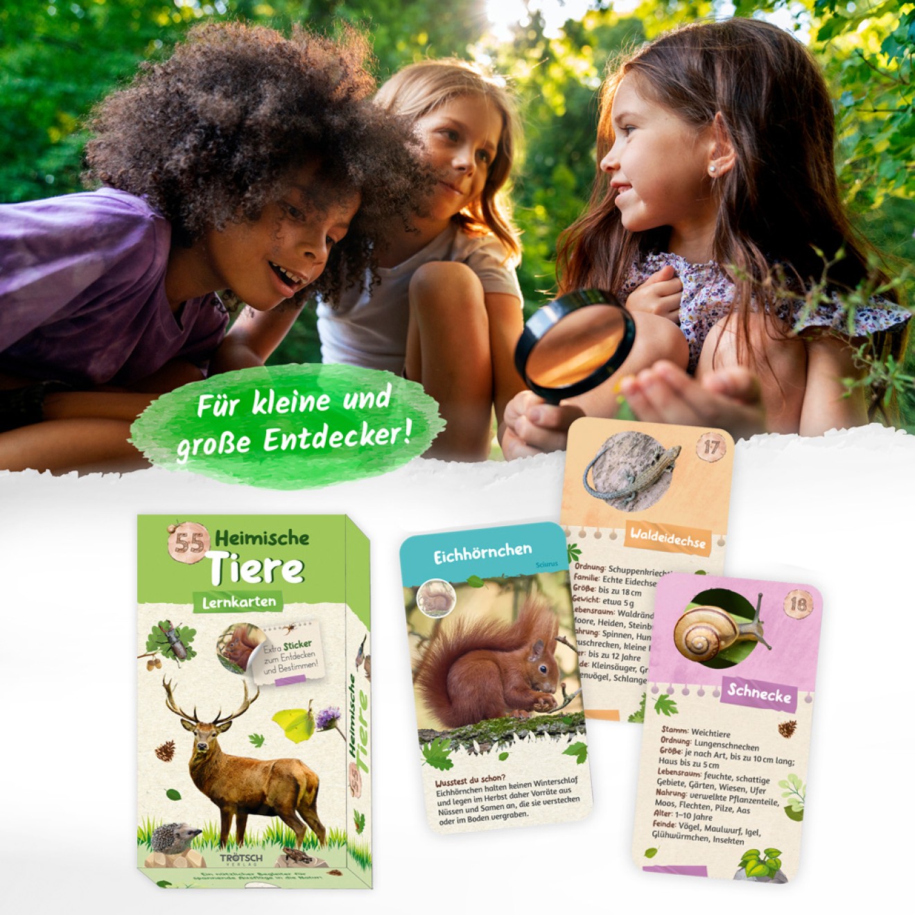55 Lernkarten "Heimische Tiere"