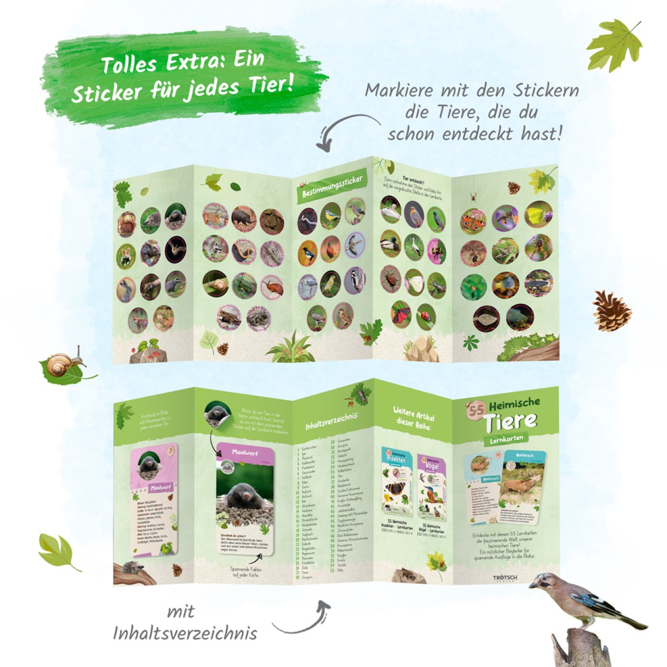 55 Lernkarten "Heimische Tiere"