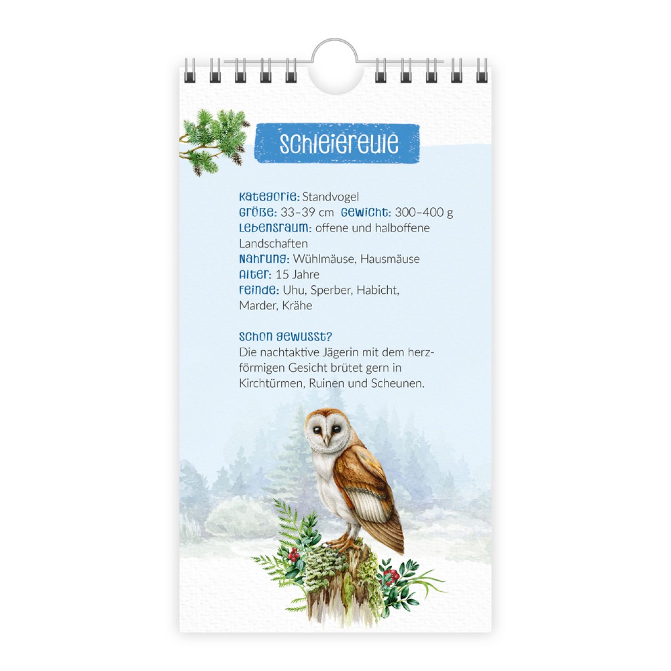 Geburtstagskalender "Unsere Vogelwelt"