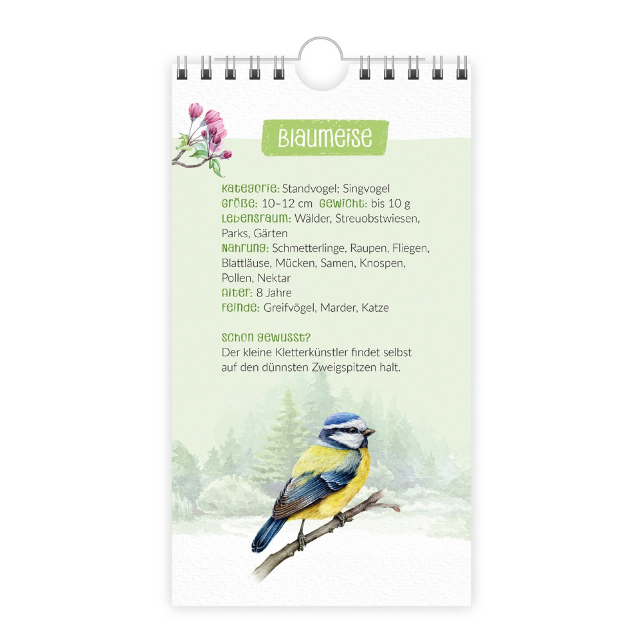 Geburtstagskalender "Unsere Vogelwelt"