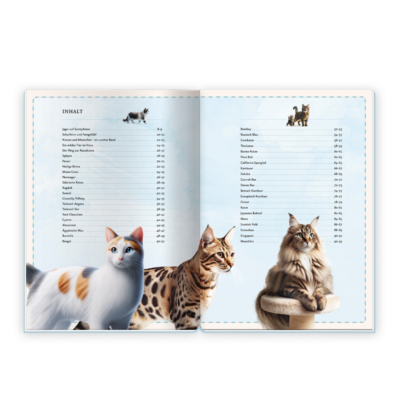 Kinderbuch Das großartige Buch der Katzen