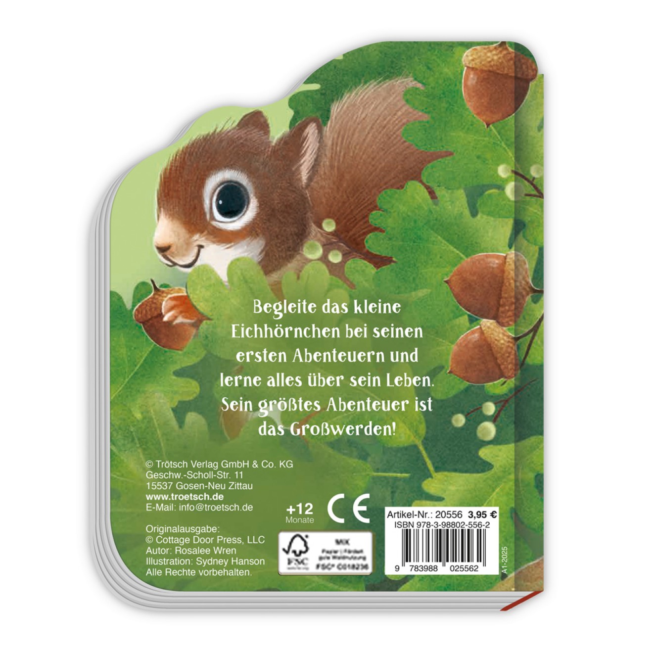 Das kleine Eichhörnchen