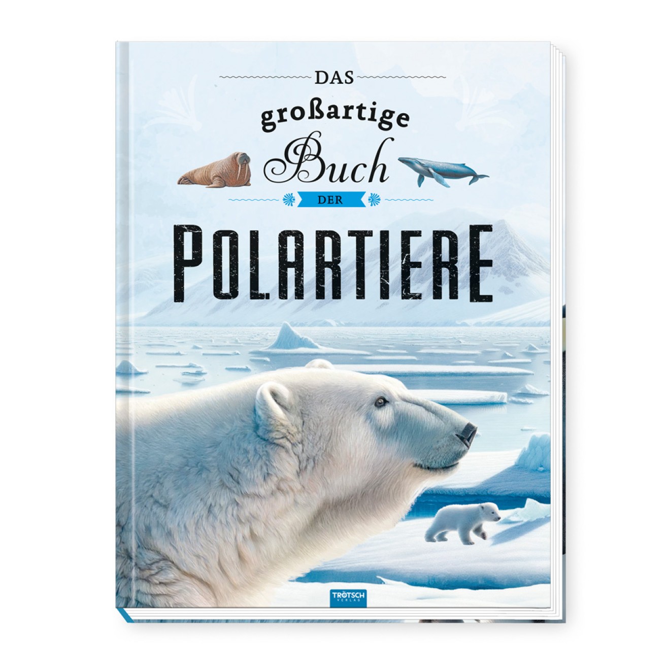 Kinderbuch Das großartige Buch der Polartiere
