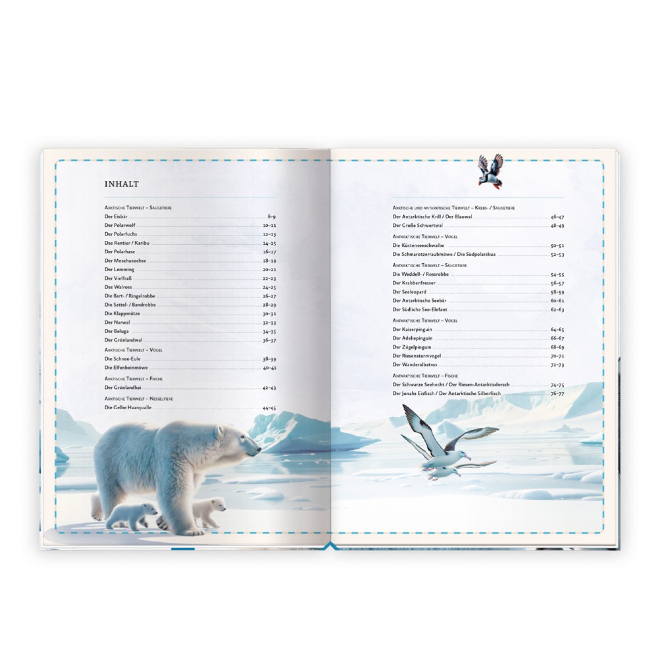 Kinderbuch Das großartige Buch der Polartiere