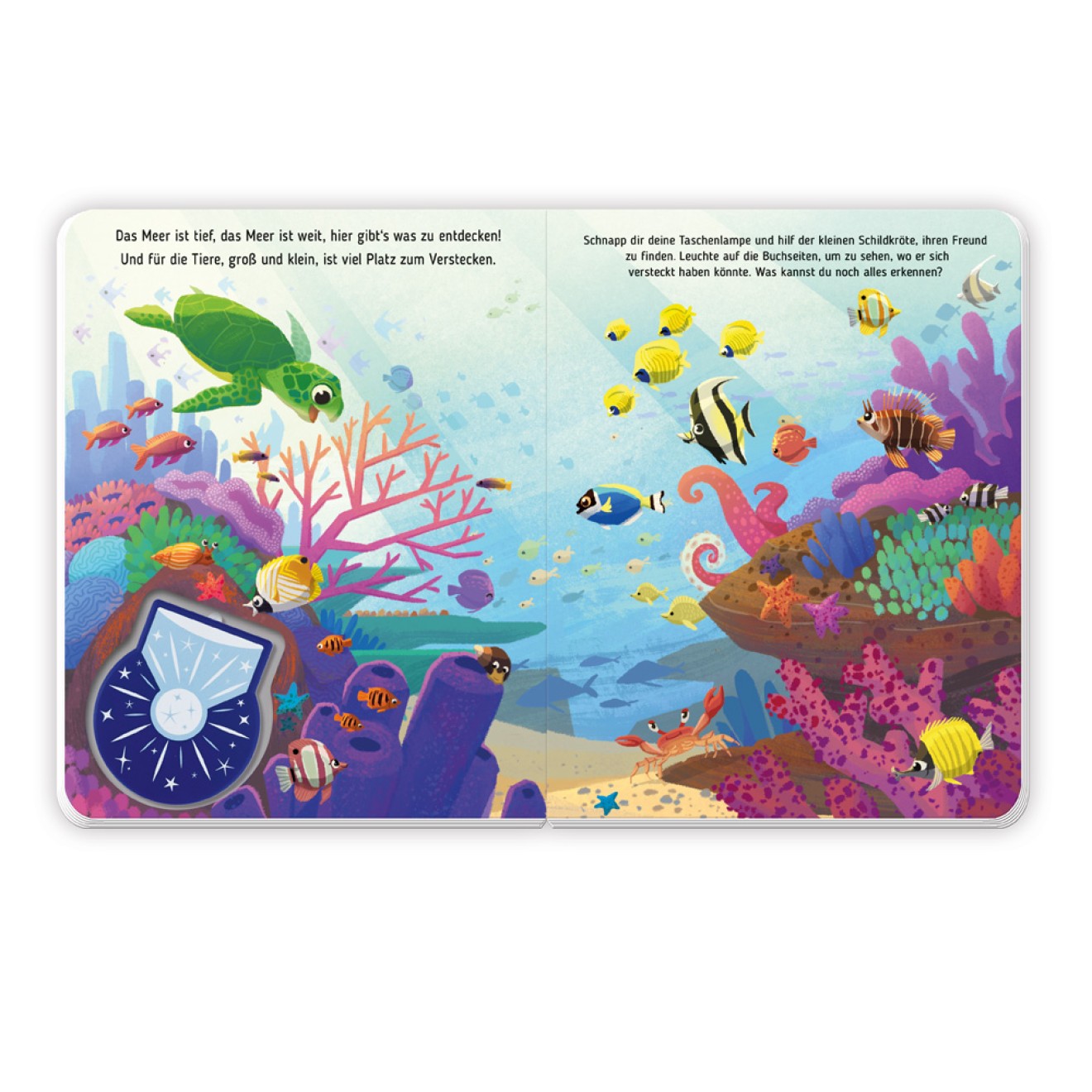 Taschenlampenbuch Leuchte und finde Unter Wasser