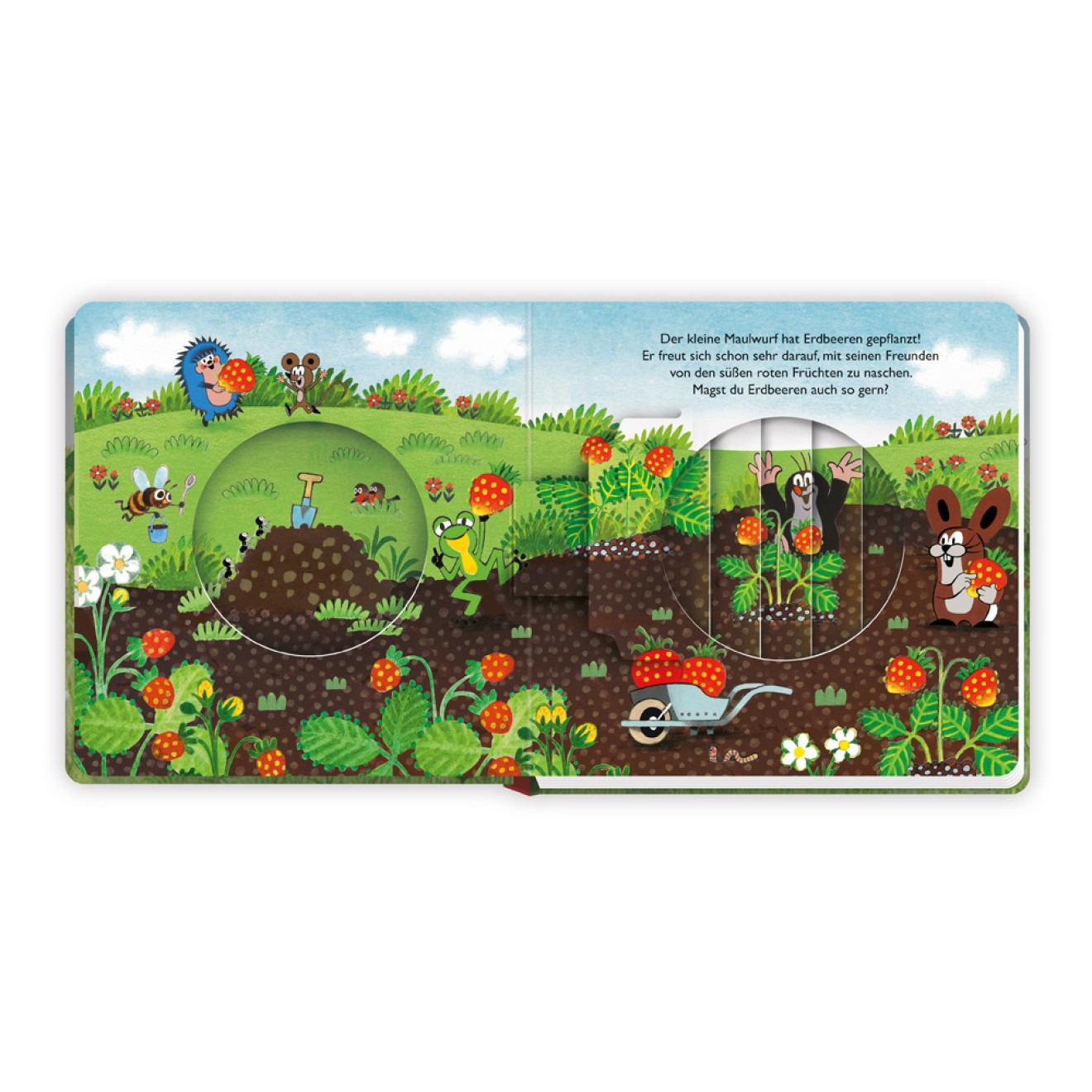 Der kleine Maulwurf Zauberbilder-Buch