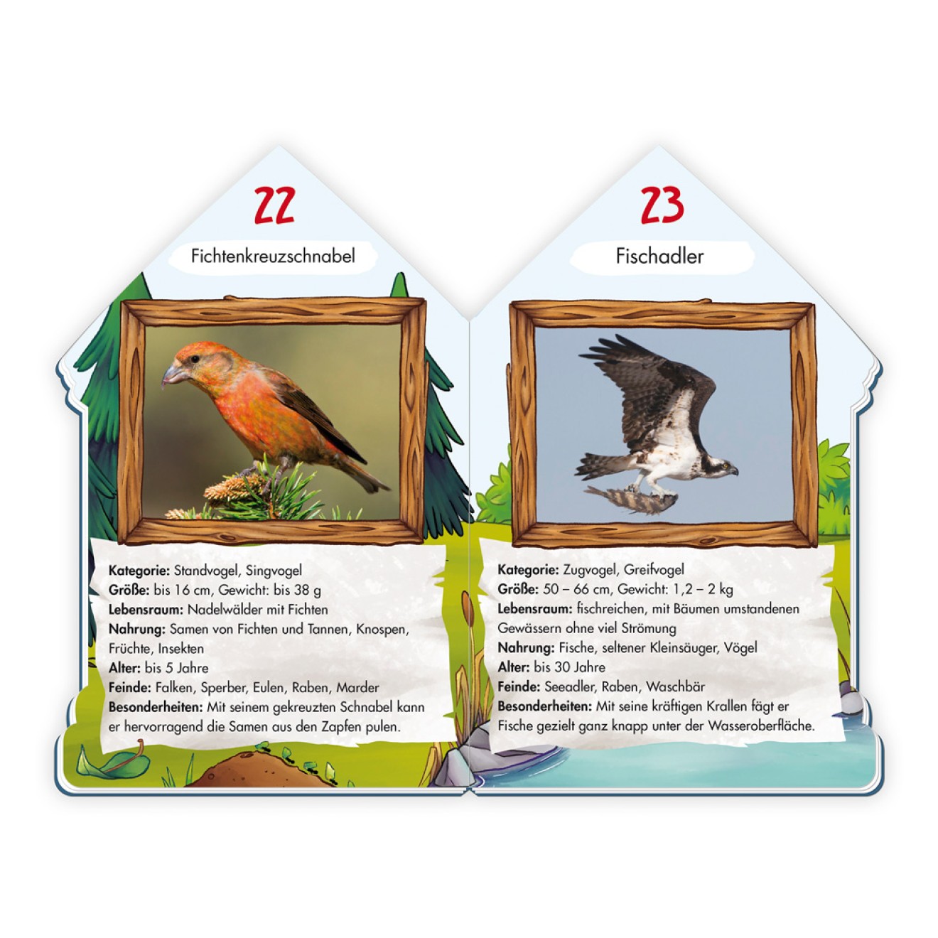 Wissensbuch "101 Heimische Vögel"
