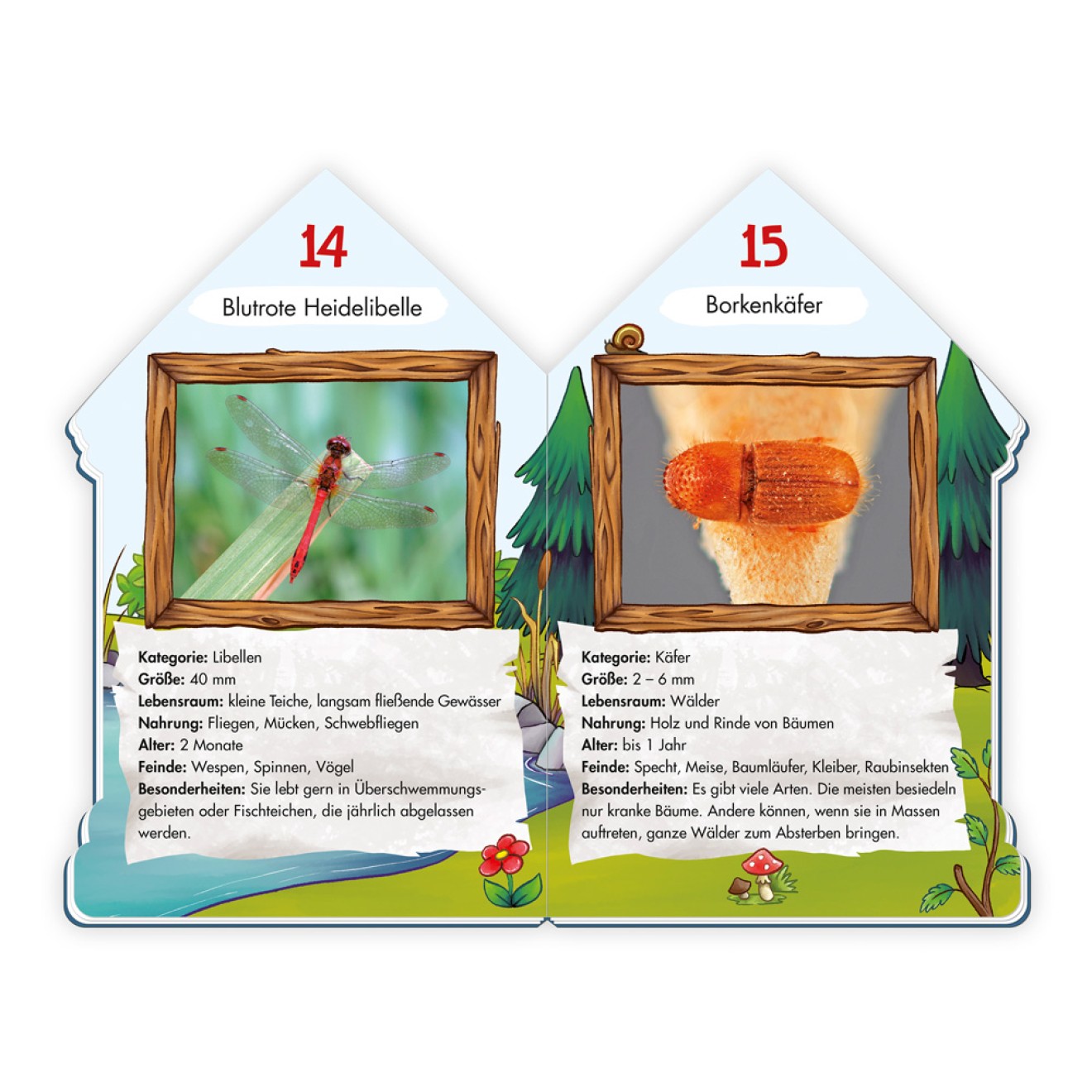 Wissensbuch "101 Heimische Insekten"
