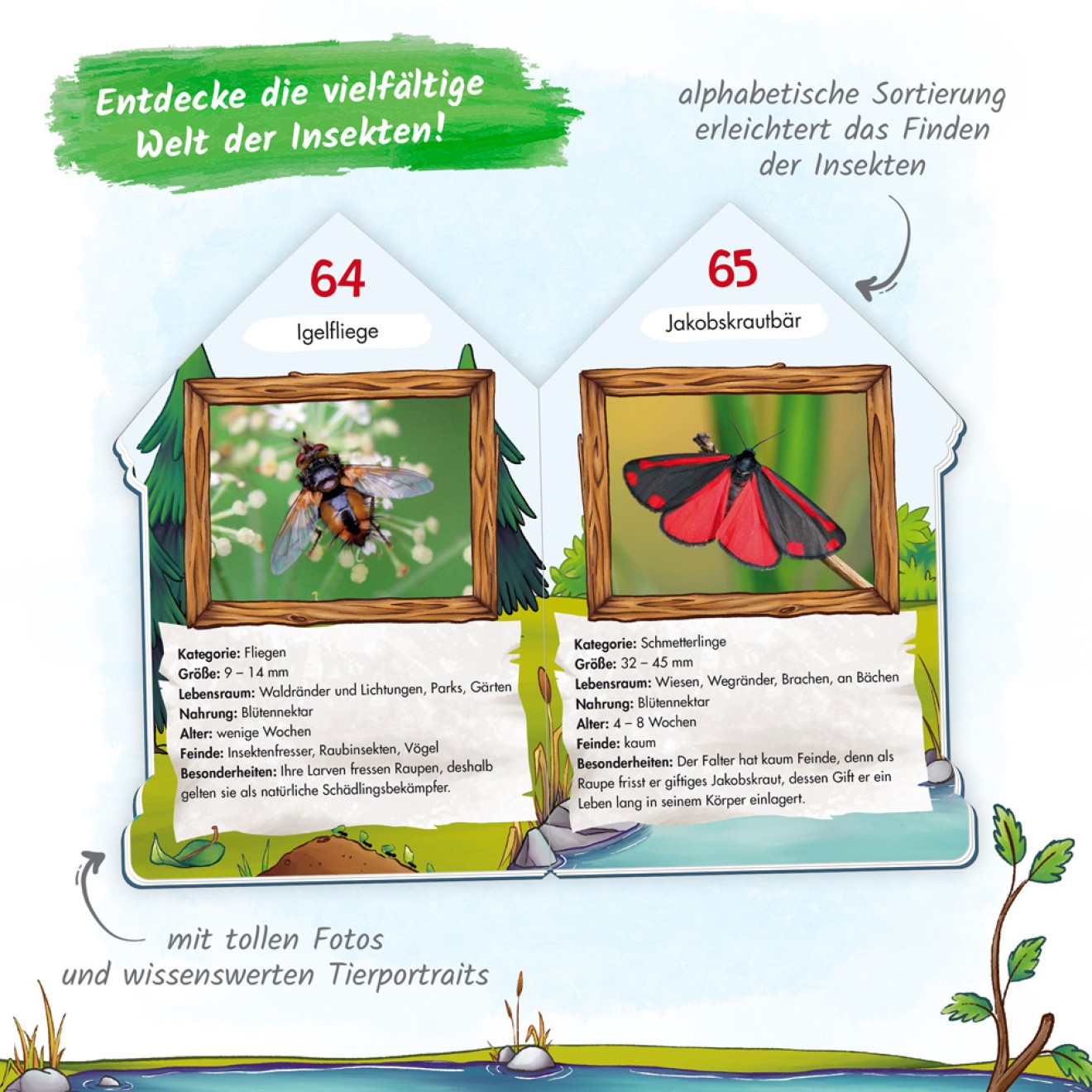 Wissensbuch "101 Heimische Insekten"