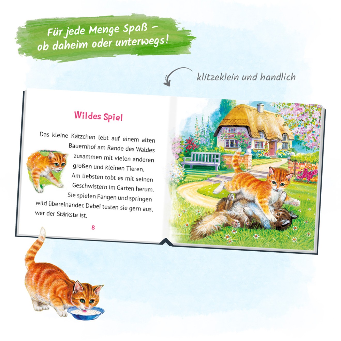 Mein klitzekleines Kinderbuch "Katzengeschichten"