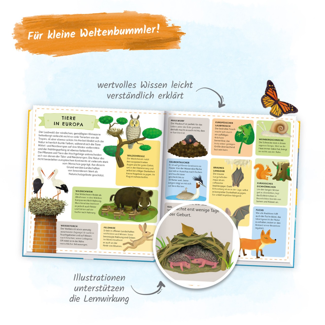 Atlas der Tiere