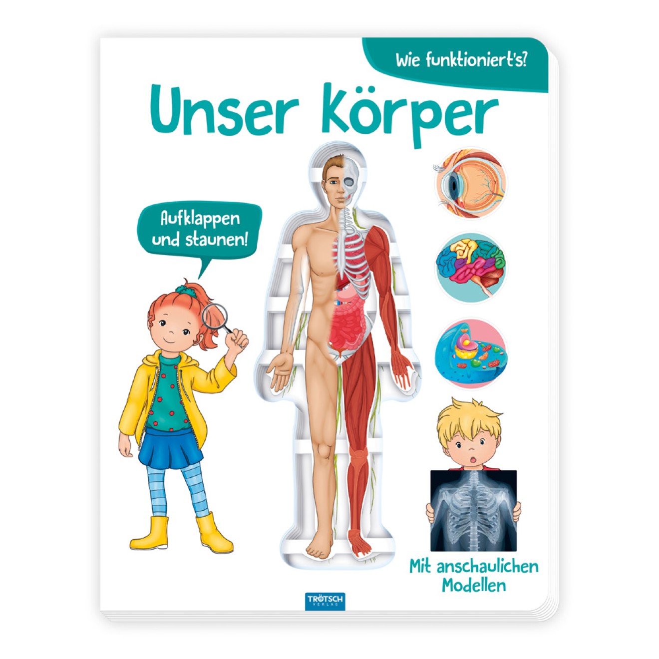 Wissensbuch "Unser Körper"