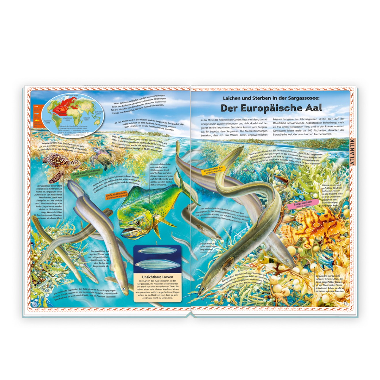 Der große Atlas der Ozeane