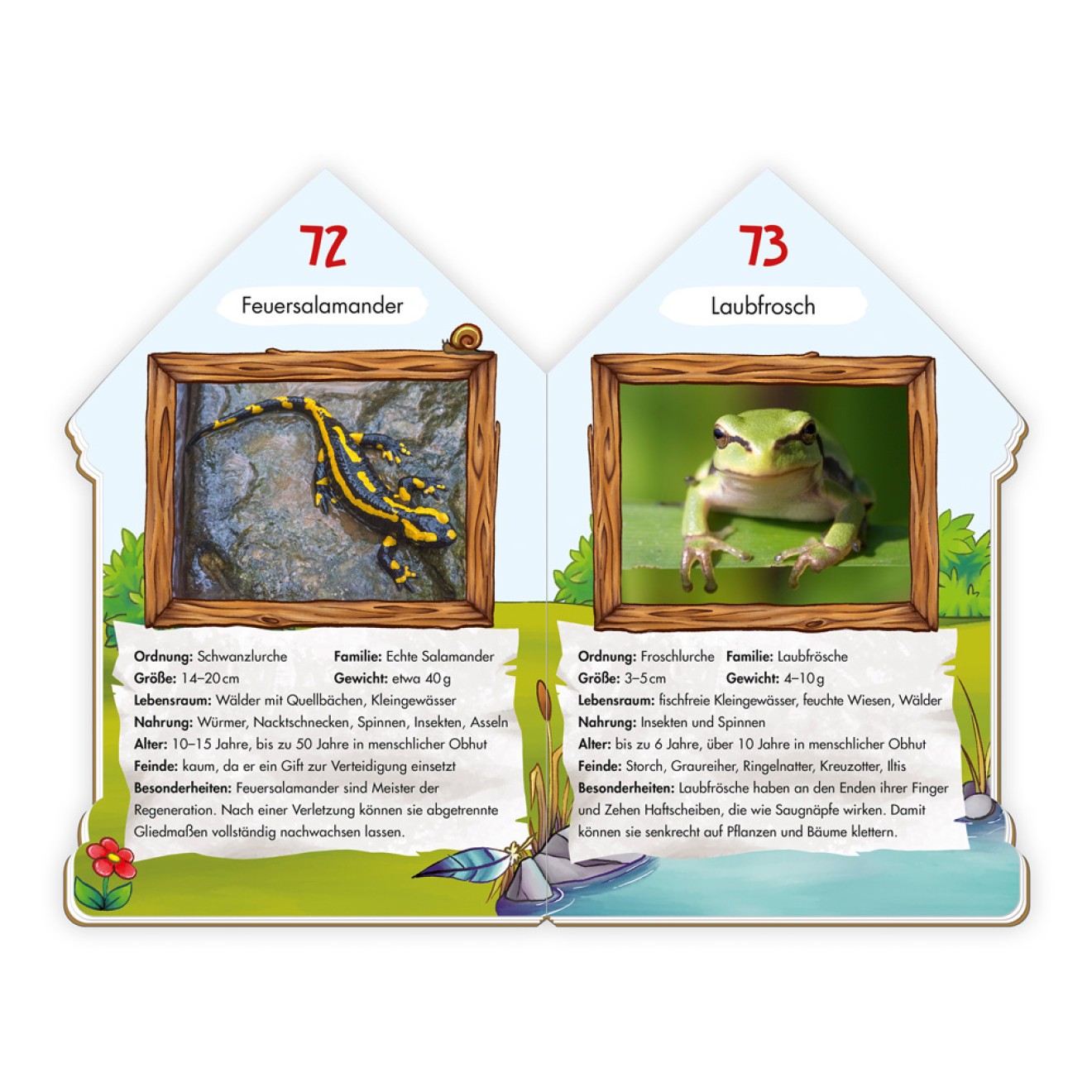Wissensbuch "101 Heimische Tiere"