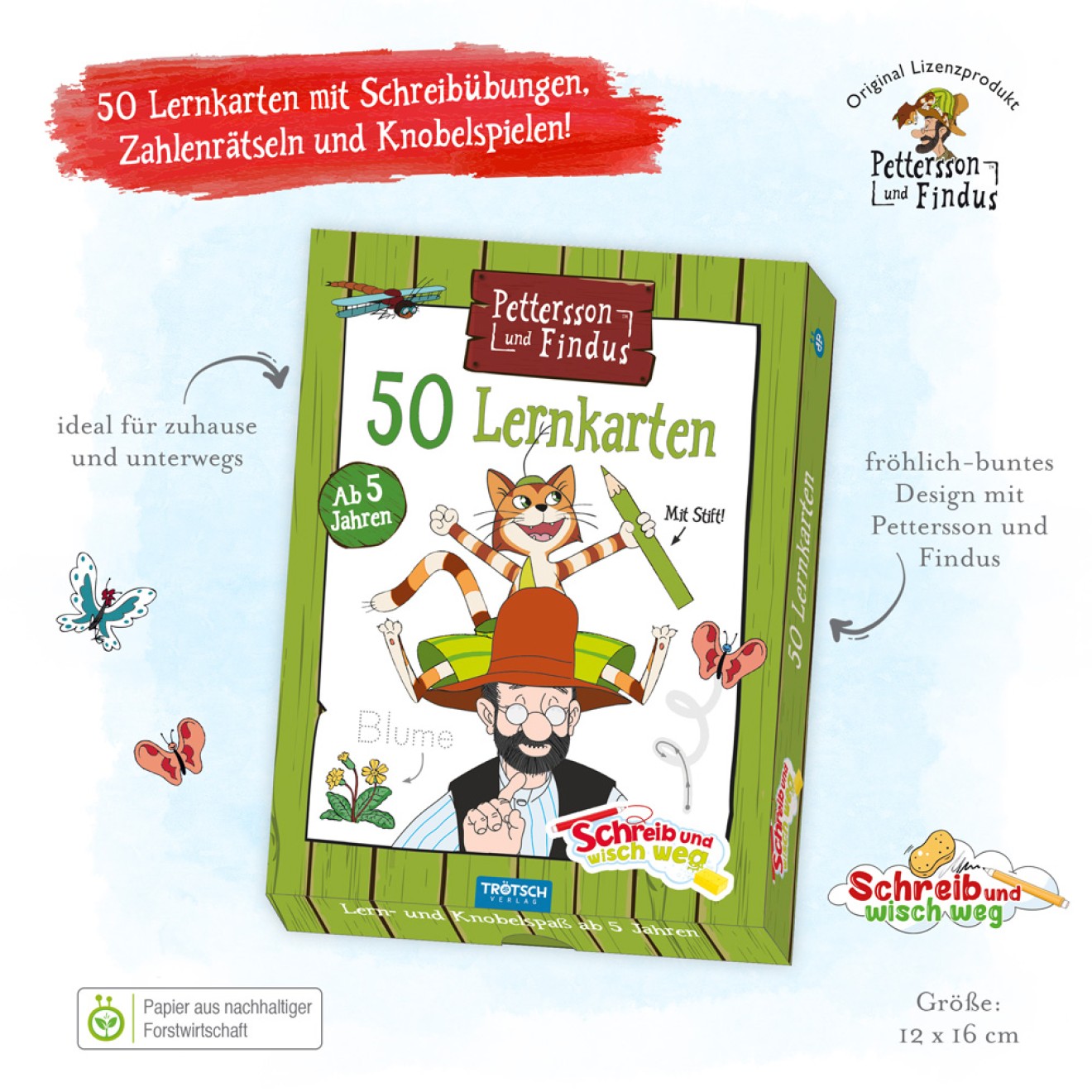 Lernkarten SWW P + F