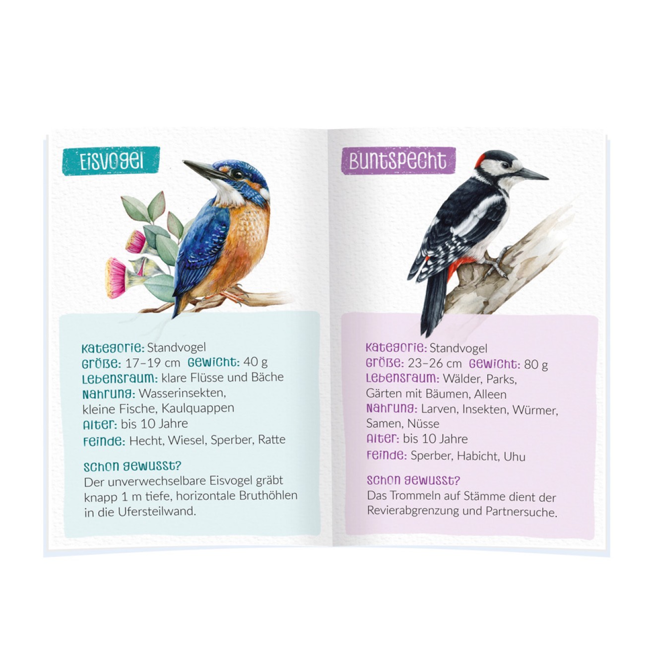 Tasse im Vogelhäuschen "Unsere Vogelwelt"