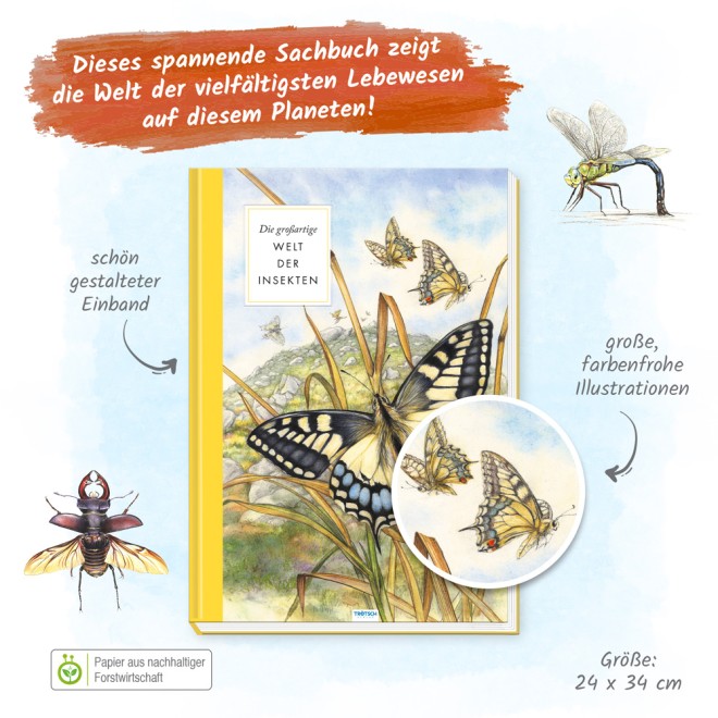 Die großartige Welt der Insekten