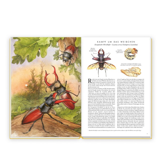 Die großartige Welt der Insekten