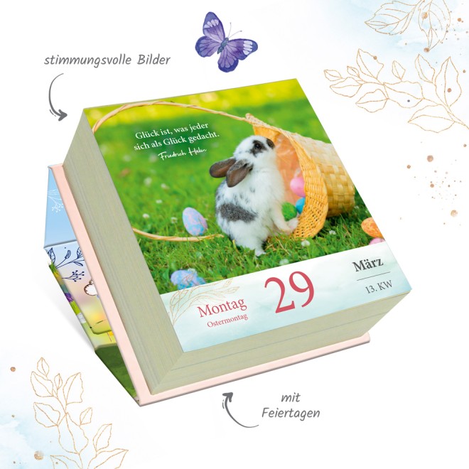 Geschenkkalender Abreißkalender Glückliche Tage 2027