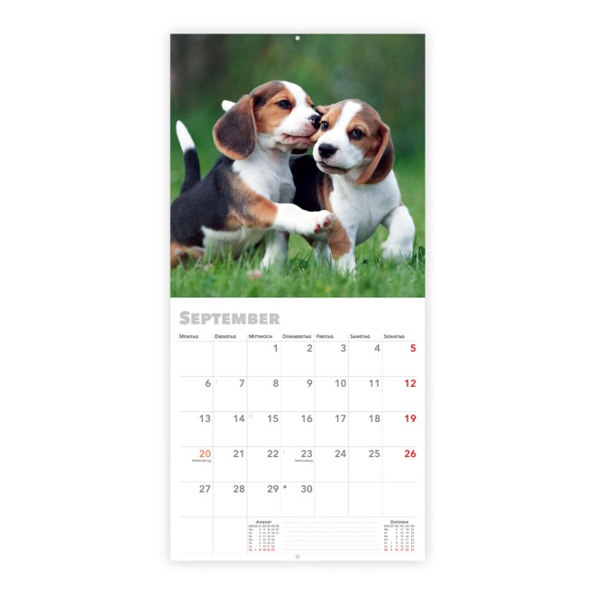 Broschürenkalender Hunde 2027