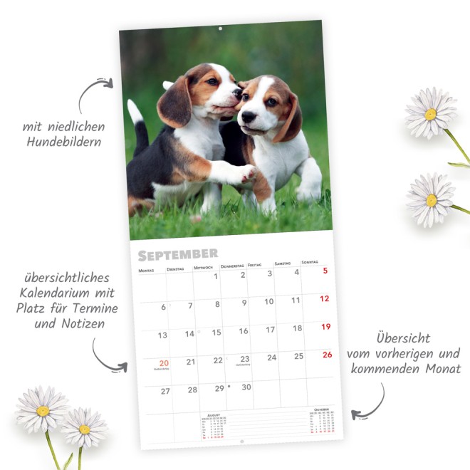 Broschürenkalender Hunde 2027
