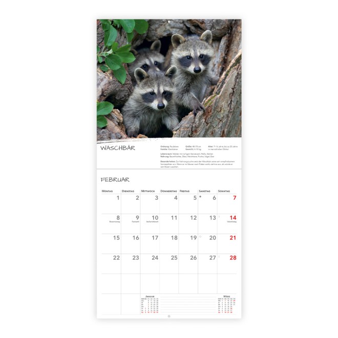 Broschürenkalender Heimische Tierwelt 2027