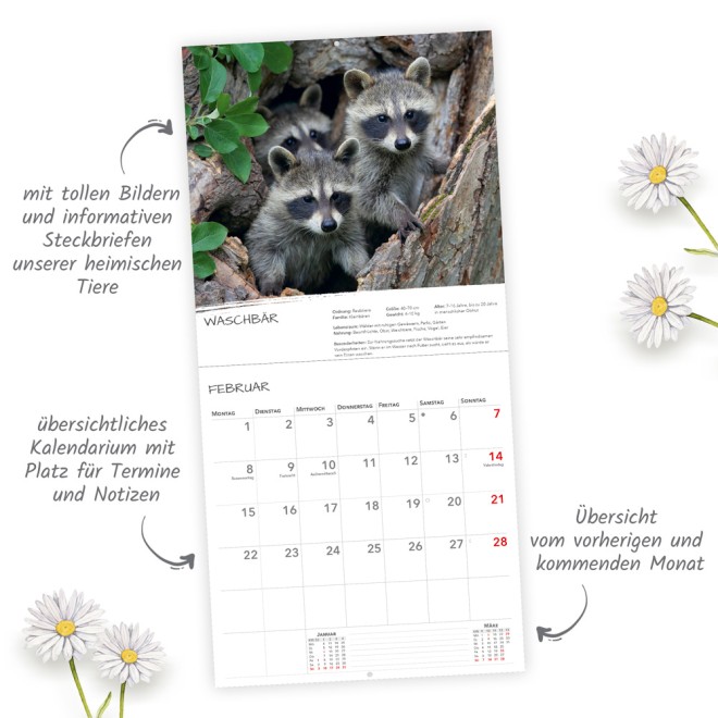 Broschürenkalender Heimische Tierwelt 2027