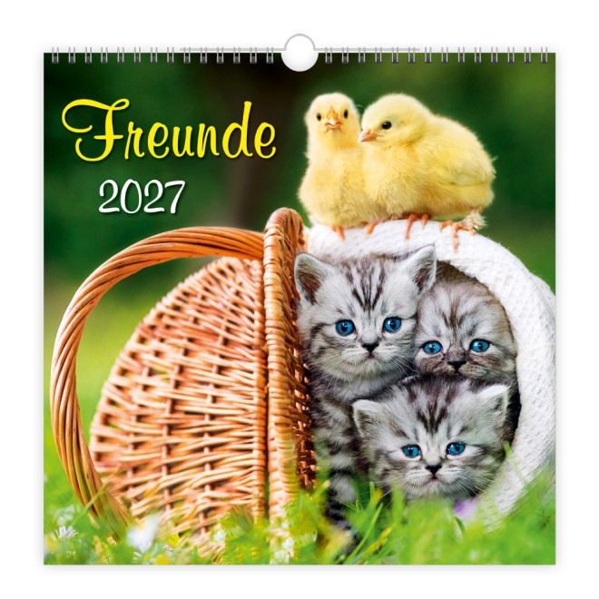 Wandkalender Freunde 2027