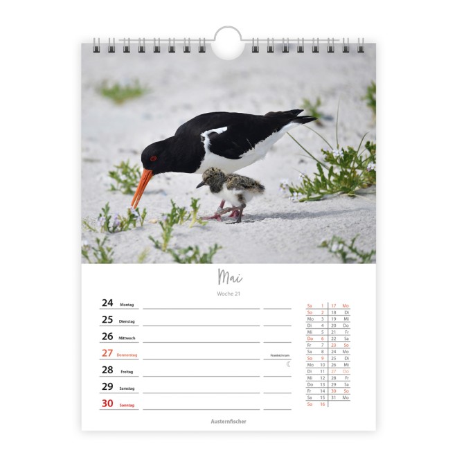 Wochenkalender zum Hängen Heimische Vögel 2027