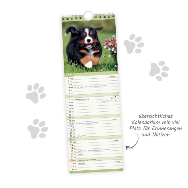 Streifenkalender Hunde 2027 Notizkalender