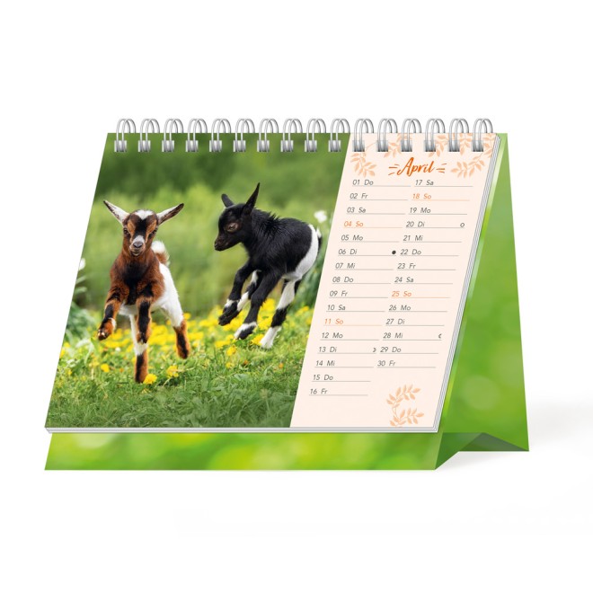 Aufstellkalender Süße Tierfreunde 2027