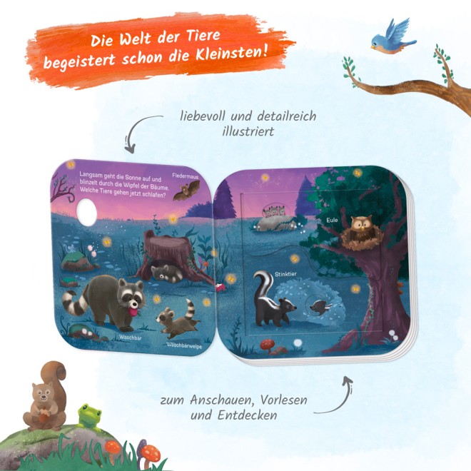 Mein erstes Klappenbuch "Tiere im Wald Wer lebt wo?"