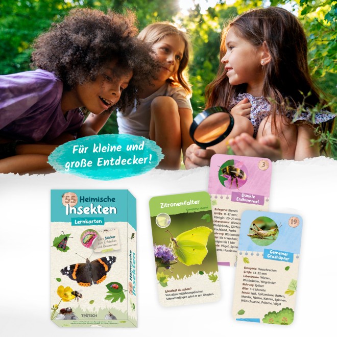 55 Lernkarten "Heimische Insekten"