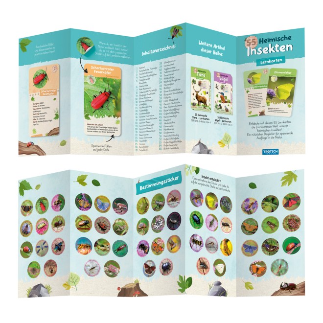 55 Lernkarten "Heimische Insekten"