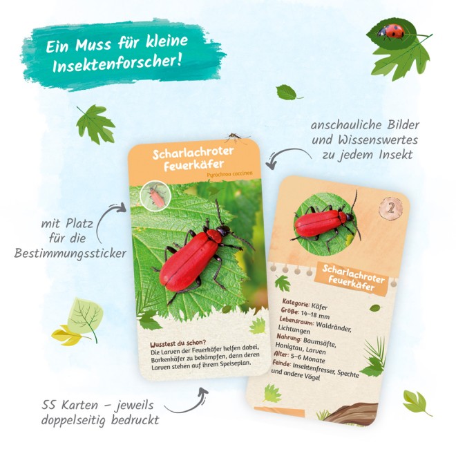 55 Lernkarten "Heimische Insekten"