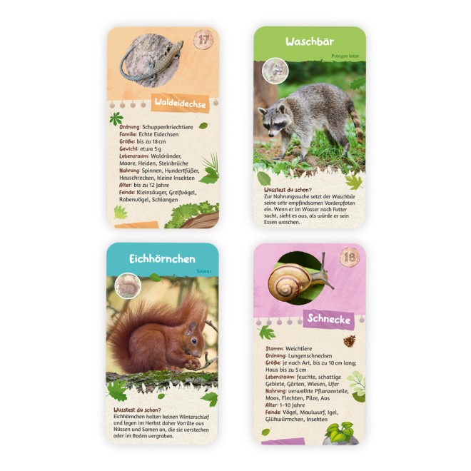 55 Lernkarten "Heimische Tiere"