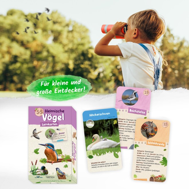 55 Lernkarten "Heimische Vögel"